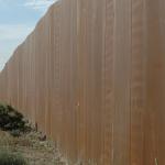 Trauma at our border