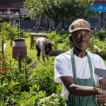Taqwa Community Farm - Bronx, NY
