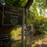 Taqwa Community Farm - Bronx, NY