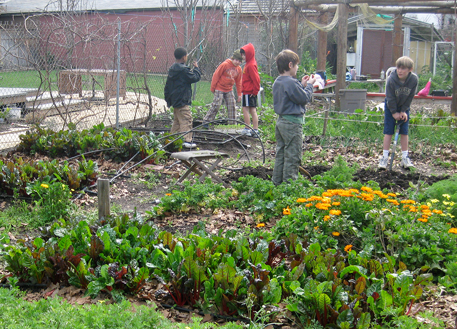 A Primer on School Gardens Feature