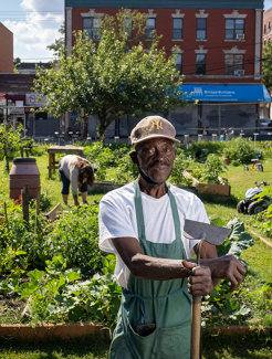 Taqwa Community Farm