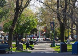 A city park with trees, benches, and people walking