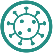 COVID-19 Response & Recovery